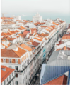 Lisbon factsheet picture.png